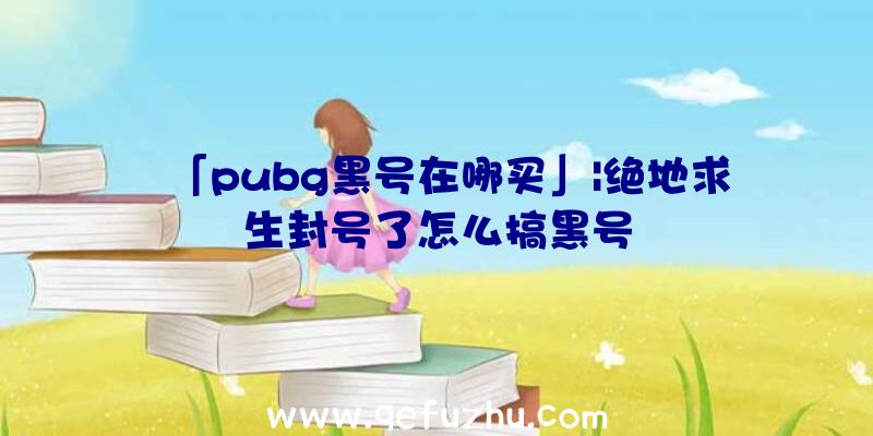 「pubg黑号在哪买」|绝地求生封号了怎么搞黑号